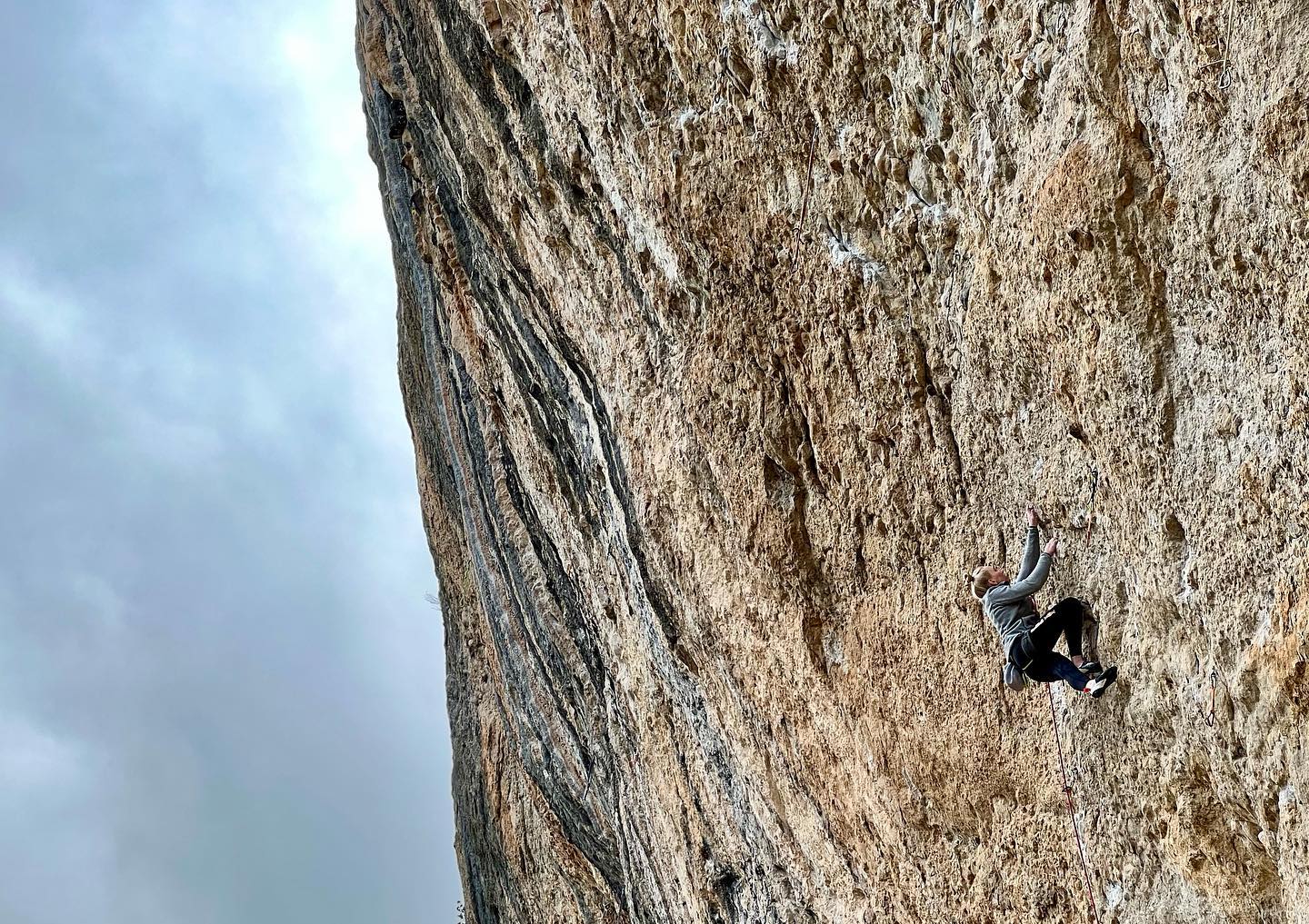 Janja Garnbret entre un peu plus dans l'histoire de son sport en réalisant l'exploit d'enchaîner un 8c à vue, soit la meilleure performance féminine de tous les temps dans cette difficulté